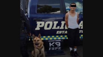 Perro policía atrapa a narcotraficante en México.
