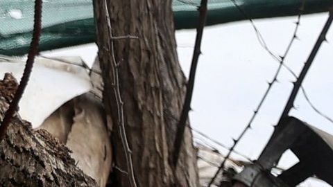 ¿Qué son los drones “kamikaze” Switchblade que Estados Unidos ha destinado a Ucrania?