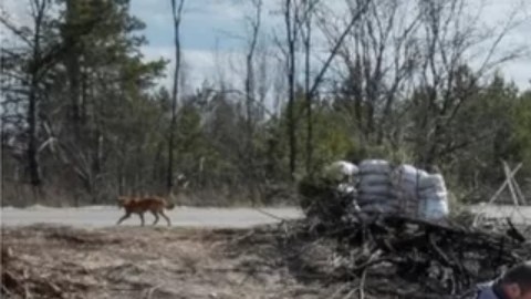 Soldados rusos expuestos a radiación en Chernóbil