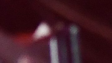 Rosalía anuncia gira mundial.