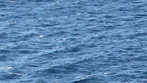 El buque de guerra ruso Moskva