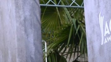 Shakira luce estupenda a sus 45 años.