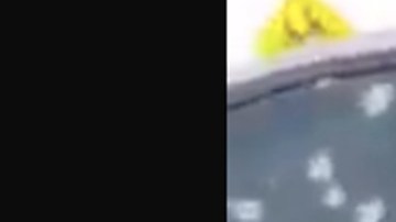 Sicarios ejecutan a dos policías en Sonora, México.