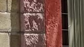 Balacera y persecución en el territorio del Cártel Jalisco Nueva Generación.