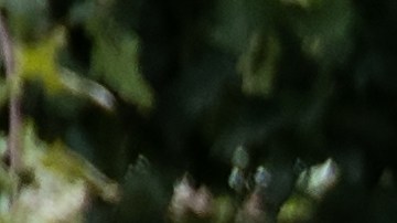 autos eléctricos litio