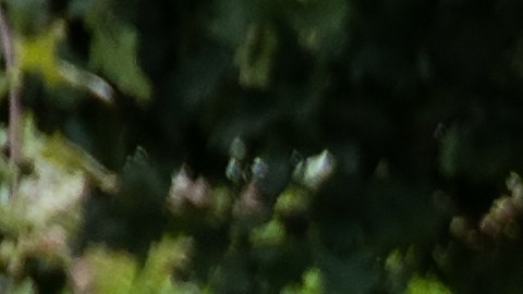 autos eléctricos litio