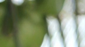 Toni Costa está muy enamorado de su nueva novia, Evelyn Beltrán.