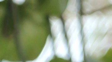 Toni Costa está muy enamorado de su nueva novia, Evelyn Beltrán.