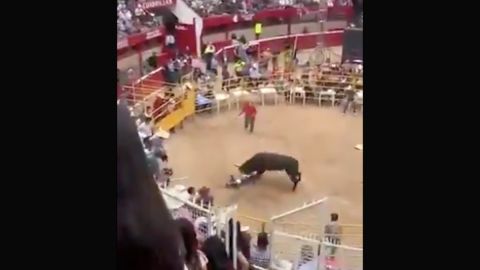 Toro pasa por encima de un jinete y casi lo mata.