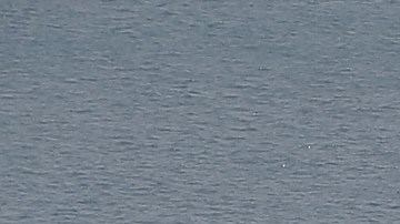 Portaaviones estadounidense USS George Washington