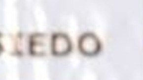 Vicente Zambada Niebla, alias "El Vicentillo".