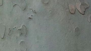 Vuelo que se estrelló y mató a 66 personas fue causado por el cigarrillo del piloto que provocó un incendio