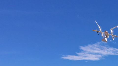 Wing