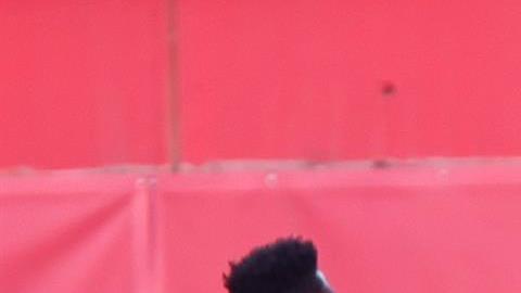 Mallorca cortó una racha de siete partidos sin ganar de local.