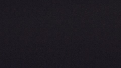 Horóscopo chino: cuál es tu animal interior y qué revela sobre tu vida amorosa