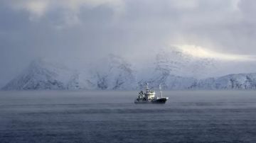 El Ártico es una zona mayormente de agua y no existe un tratado internacional que lo proteja.