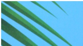 Jaime Camil: Exhiben rostros de ladrones que entraron a robar a su apartamento en México