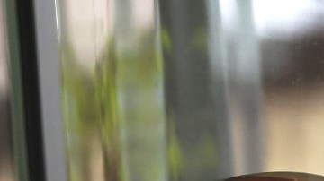 Día Nacional del Burrito: Chipotle regalará burritos este jueves en el juego de Roblox