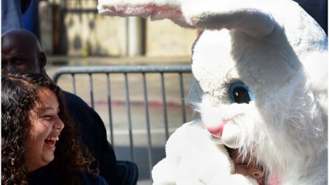 Los directores sacaron al conejito de la escuela porque los niños aún no saben de educación sexual.