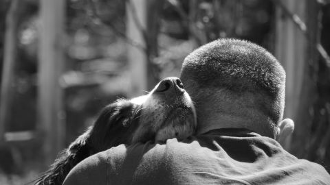 VIDEO: Difunden emotivo reencuentro de perro ucraniano con su dueño