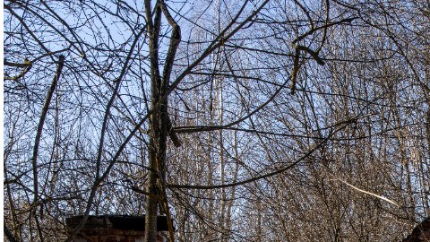 En las imágenes del dron se ve la corta distancia entre las excavaciones y la planta nuclear.