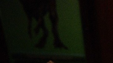 A subasta el esqueleto que inspiró al icónico dinosaurio de la película Jurassic Park