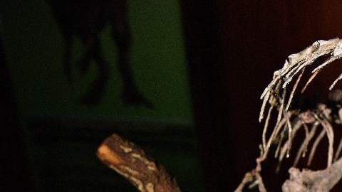 A subasta el esqueleto que inspiró al icónico dinosaurio de la película Jurassic Park