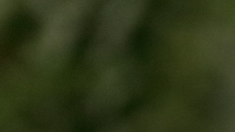 La semana será frustrante para 3 signos del zodiaco, pero al final hallarán una salida.