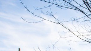 Realtor ofrece a hispanos oportunidad de tener su vivienda