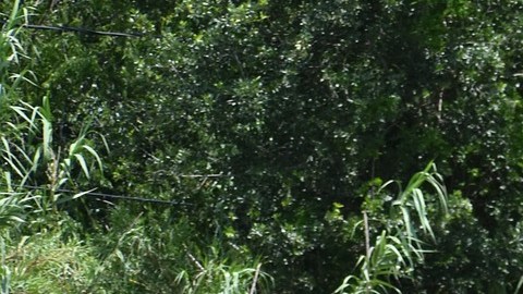 Almendarez era veterano de 23 años de servicio en la oficinal del alguacil que hace poco fue asignado a la división de robo de vehículos.