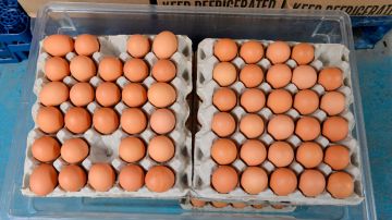 El precio de los huevos se dispara 52% justo antes de la Pascua, impulsado por los brotes de gripe aviar