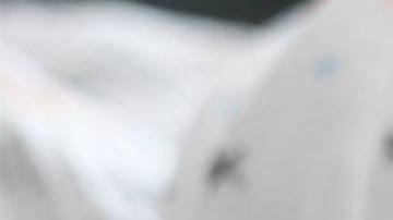 Las personas percibieron un fuerte olor a podrido por eso hablaron a la policía.