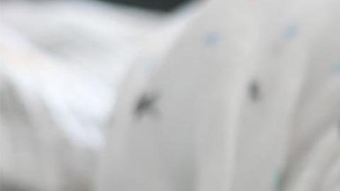 Las personas percibieron un fuerte olor a podrido por eso hablaron a la policía.