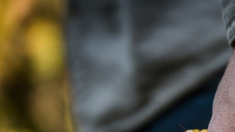 El etanol de maíz, la alternativa para combatir los altos precios de la gasolina basada en petróleo en EE.UU.