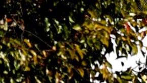 Meta planea abrir su primera tienda física para vender dispositivos de realidad virtual