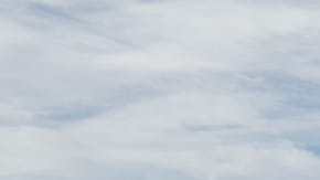 Tragedia migrante en México, camioneta con migrantes se estrella con tráiler y mueren seis