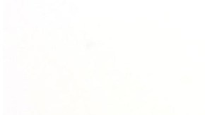 La víctima cooperó en todo momento con la policía.