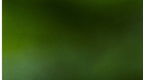 Subió el precio que se tenía contemplado por onza.