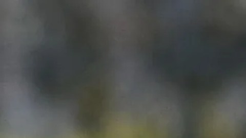 Marcelo Flores, mediocampista mexicano.