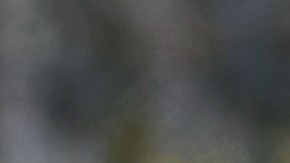 Marcelo Flores, mediocampista mexicano.