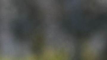 Marcelo Flores, mediocampista mexicano.