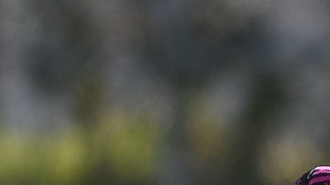 Marcelo Flores, mediocampista mexicano.
