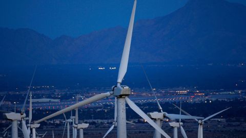Una empresa de energía eólica mata a 150 águilas en EE.UU. y ahora pagará millones tras declararse culpable