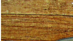 El sospechoso huyó del lugar y la policía no lo ha encontrado.