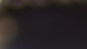 Matices Latinos en Estados Unidos: Cómo cada cultura celebra su individualidad en este país