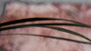 El Dr. Carlos Jaramillo invita a tomar las riendas de su salud.