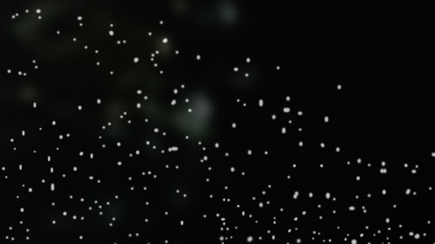 Nacer entre dos signos zodiacales se le conoce como cúspide.