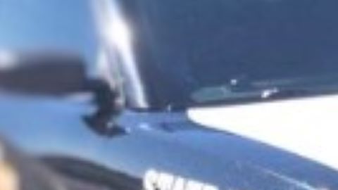 El Departamento de Seguridad Pública.