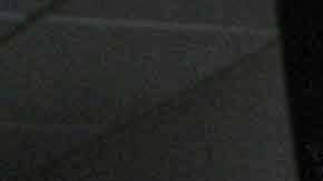 Valentino Lanús y Amber Heard