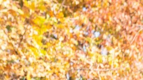 64% de los estadounidenses que quieren vender su casa esperará al verano